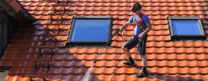 Roof Cleaning